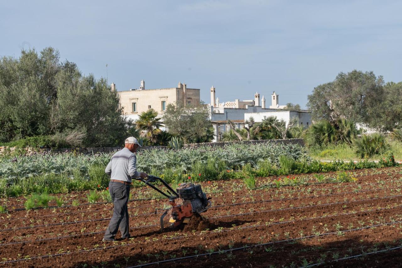 Masseria Palombara Relais & Spa - Adults Only Manduria Bagian luar foto